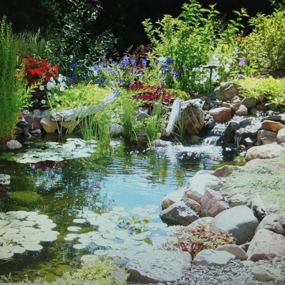 Professional landscaping services in Wesley Chapel, FL by ProScapes Lawn Care