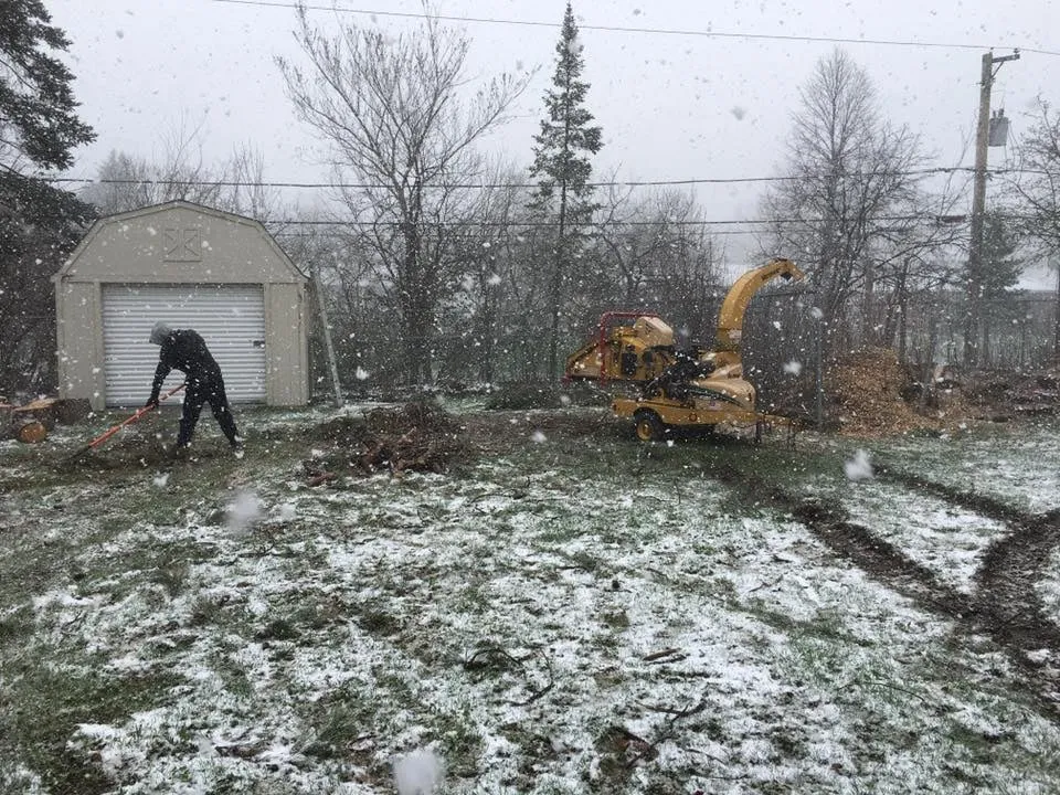 Custom landscape installation in Wesley Chapel, FL by ProScapes Lawn Care