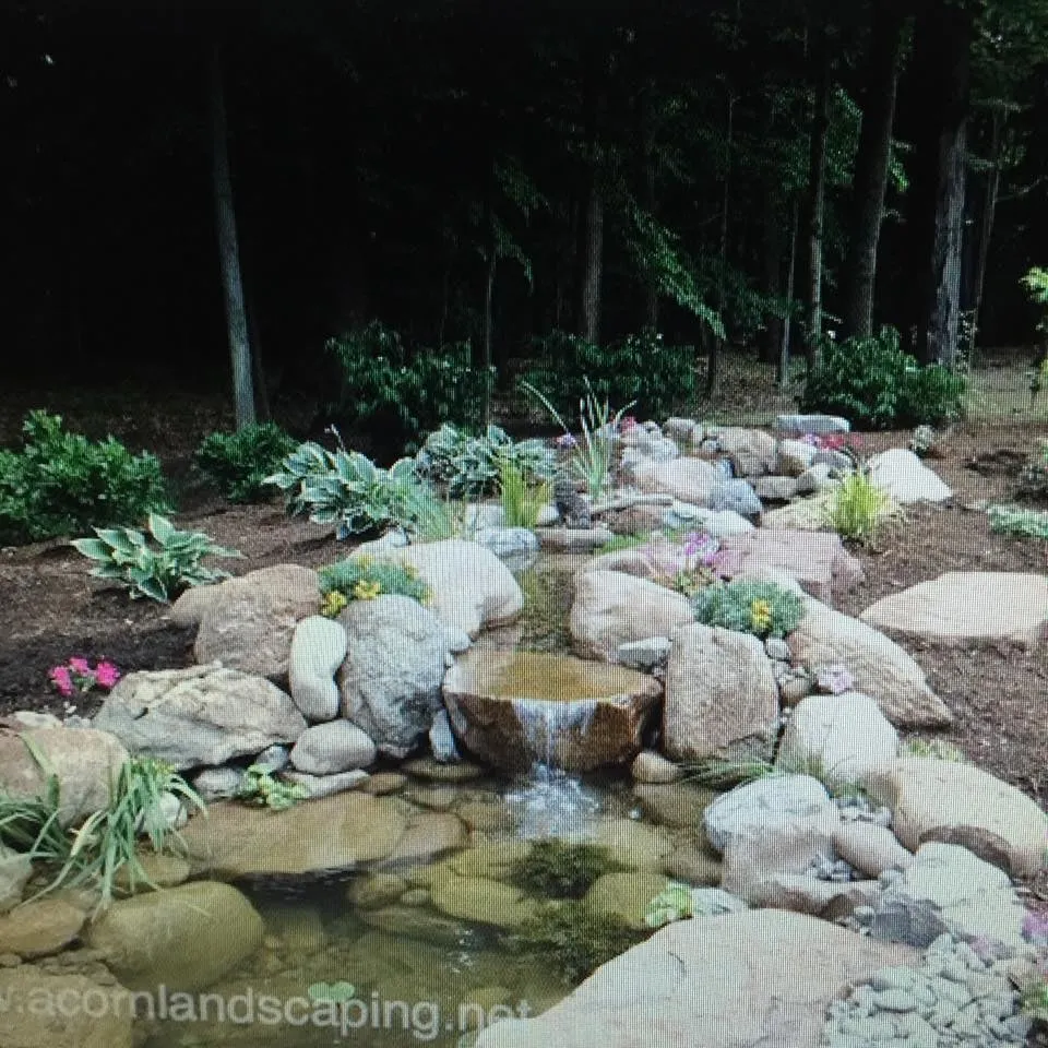 Trusted lawn care service in Wesley Chapel, FL - ProScapes Lawn Care