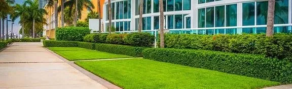Local landscaping services for residential properties across Wesley Chapel, FL - ProScapes Lawn Care
