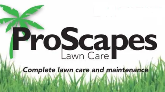 Expert yard cleanup service in Wesley Chapel, FL - ProScapes Lawn Care