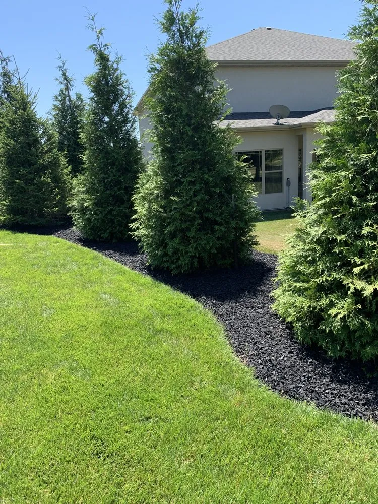 Top-rated residential landscaping in Rocheport, MO - Proscapes Lawncare