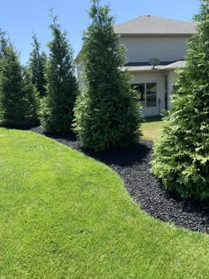 Proscapes Lawncare Logo