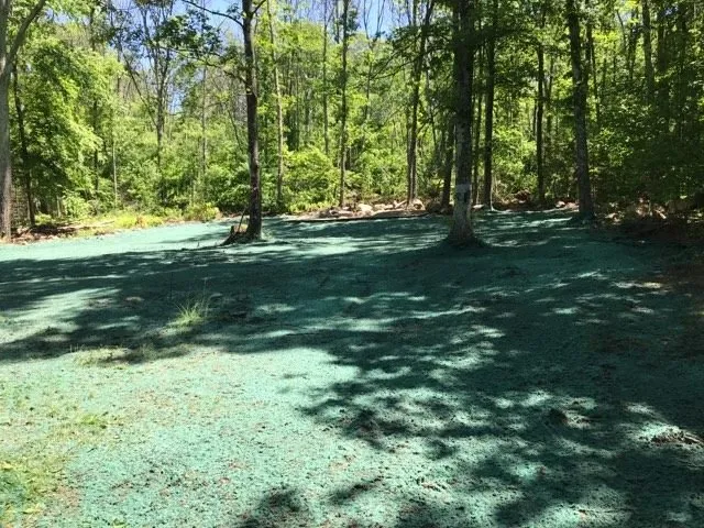 Professional yard cleanup service in Burrillville, RI - ProSeed America