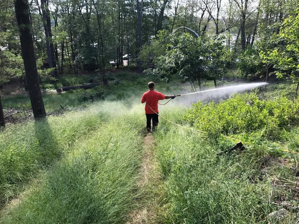 Trusted landscape installation with custom design across Burrillville, RI - ProSeed America