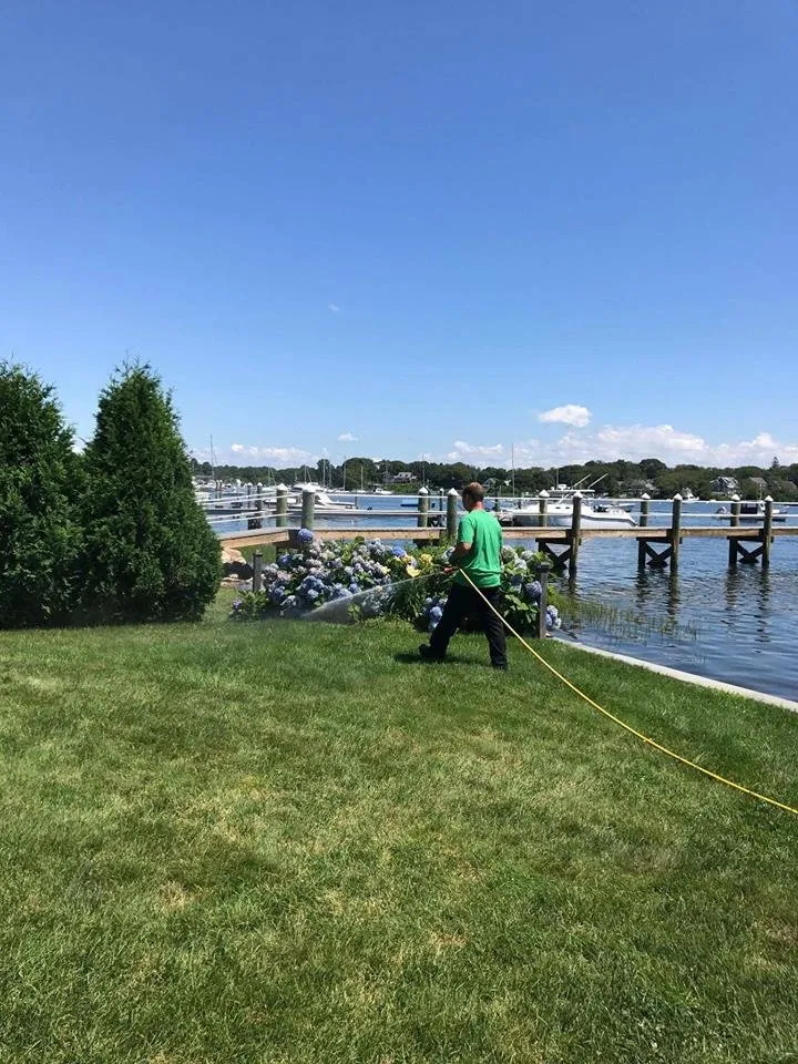 Top-rated lawn care service for residential properties across Burrillville, RI - ProSeed America