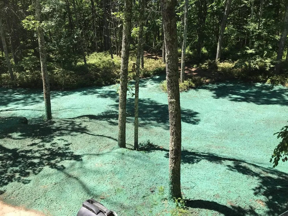 Custom lawn mowing service experts serving Burrillville, RI - ProSeed America