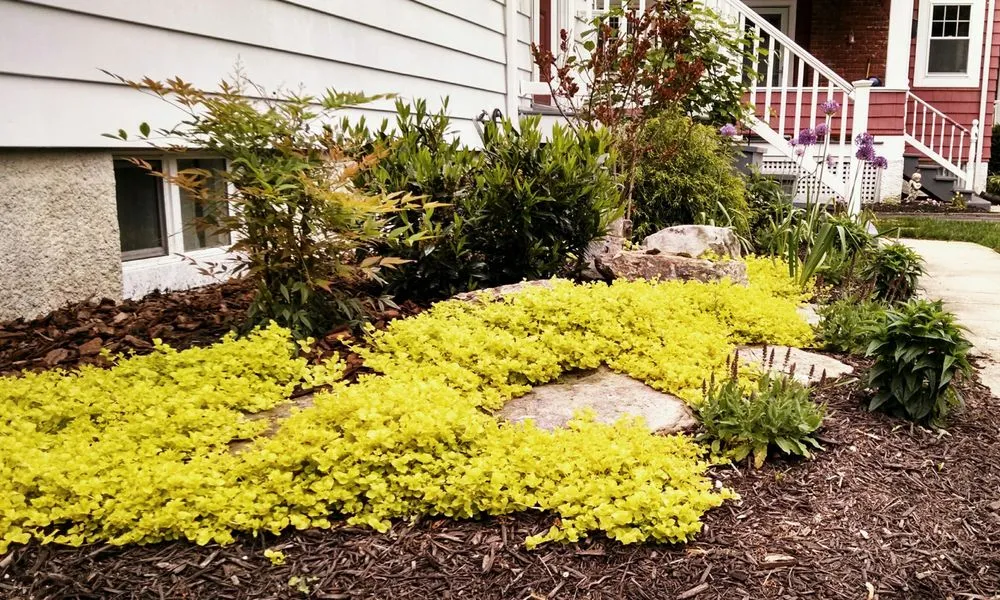 Custom residential landscaping for year-round maintenance across Catonsville, MD - ProServ Landscaping
