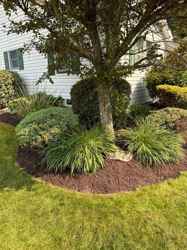 Top-rated landscape design in Saint Marys, PA - ProServices