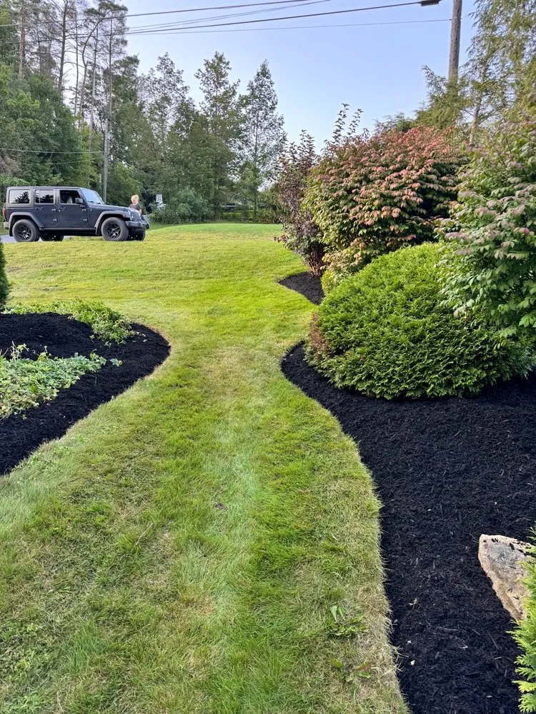 Expert landscape design in Saint Marys, PA - ProServices