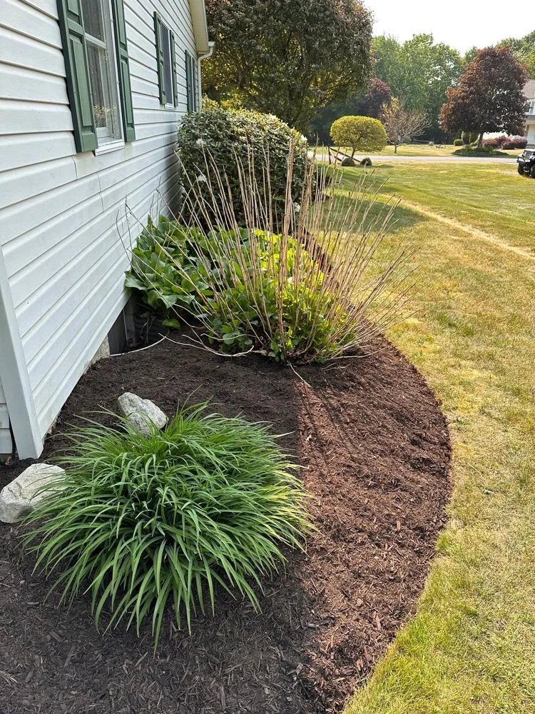Reliable yard cleanup service near you in Saint Marys, PA by ProServices
