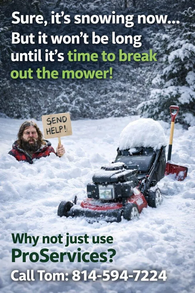 Professional landscape design in Saint Marys, PA - ProServices