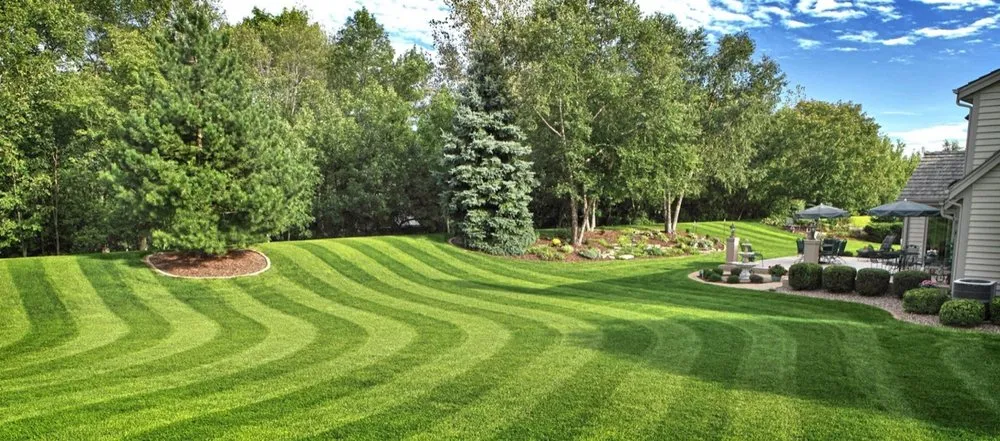 Professional yard cleanup service for residential properties across Saint Marys, PA - ProServices