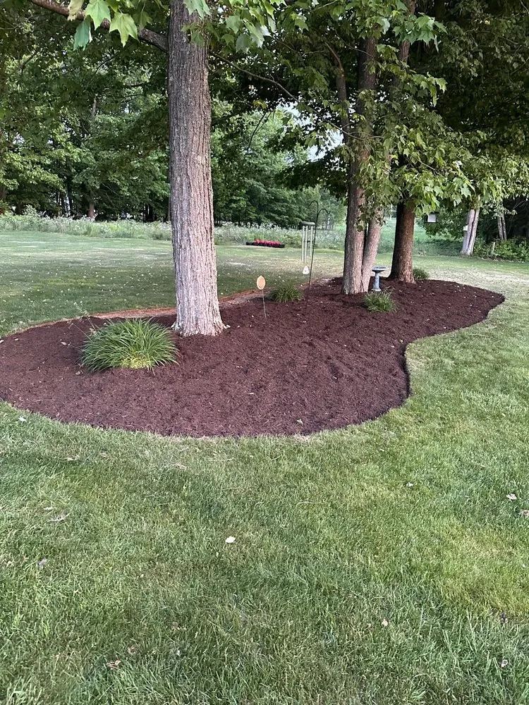 Professional lawn mowing service in Saint Marys, PA by ProServices