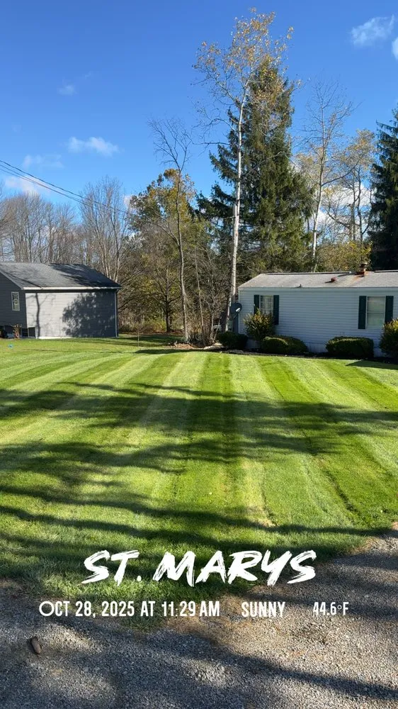 Reliable yard cleanup service experts serving Saint Marys, PA - ProServices