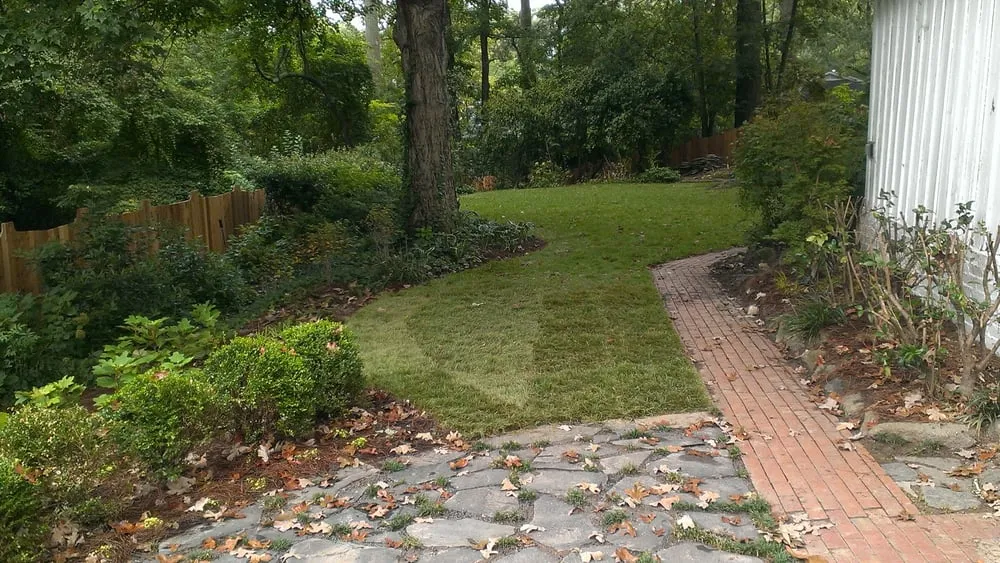 Affordable lawn care service in Atlanta, GA by Prospect Design Company