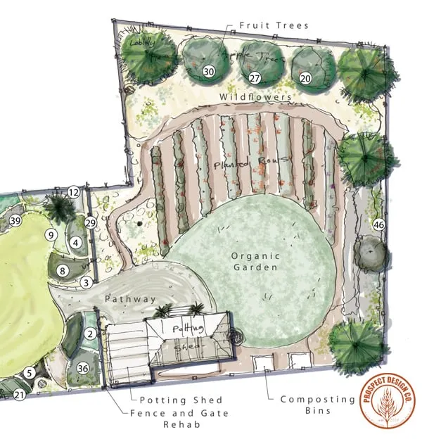 Top-rated lawn care service in Atlanta, GA by Prospect Design Company