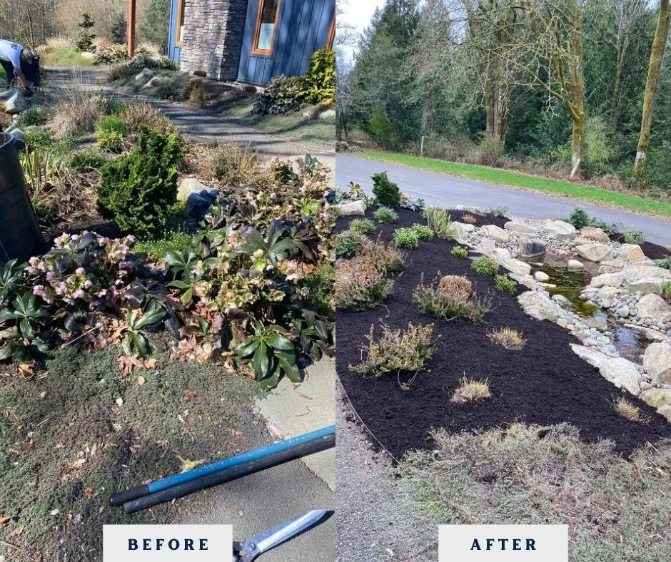 Affordable residential landscaping for outdoor upgrades in Bainbridge Island, WA by Prospect Landscaping