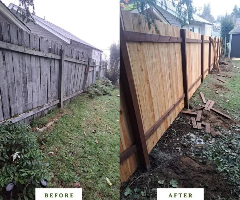 Top-rated landscape design for year-round maintenance in Bainbridge Island, WA by Prospect Landscaping