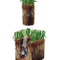 Expert residential landscaping in Prosper, TX - Prosper Core Aeration