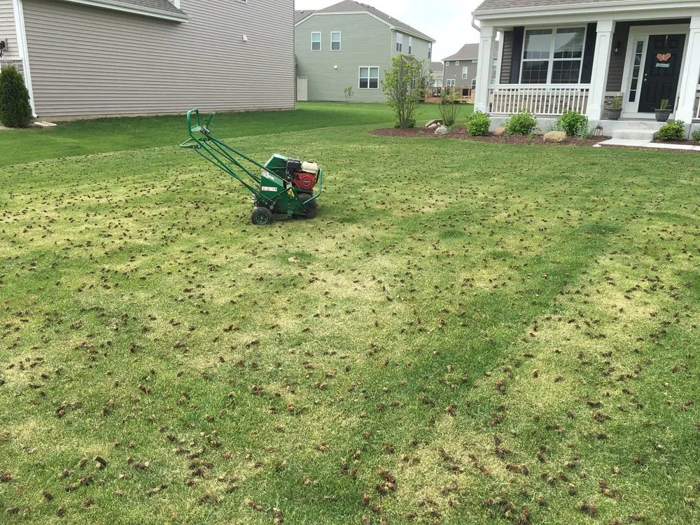 Reliable residential landscaping in Prosper, TX by Prosper Core Aeration