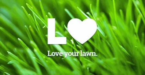 Trusted yard maintenance in Prosper, TX by Prosper Core Aeration