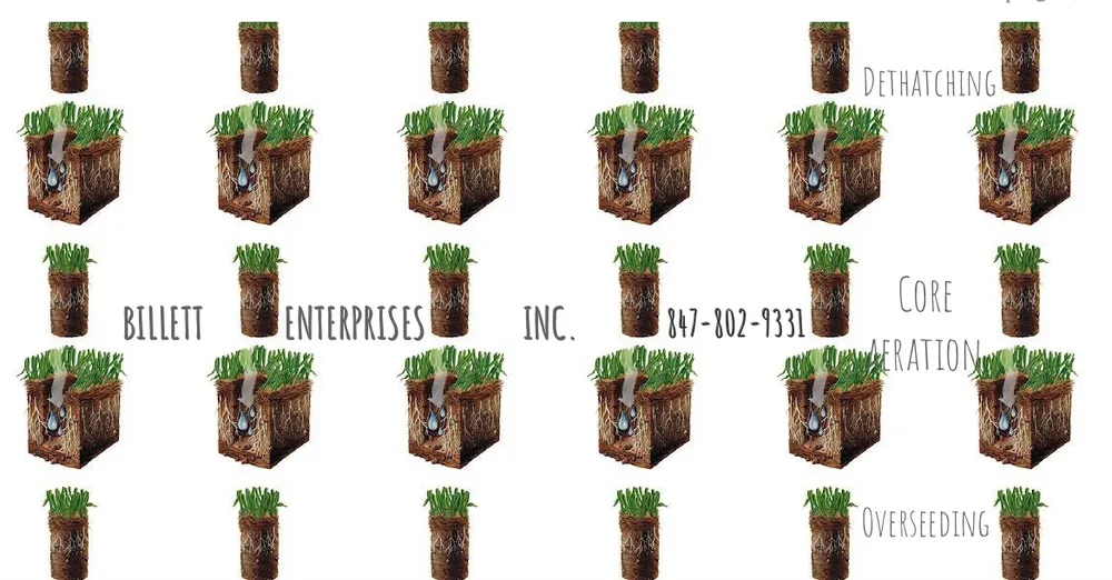 Professional yard cleanup service with custom design across Prosper, TX - Prosper Core Aeration