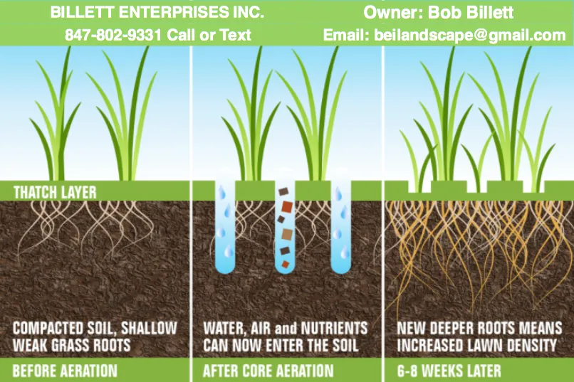 Expert yard cleanup service experts serving Prosper, TX - Prosper Core Aeration