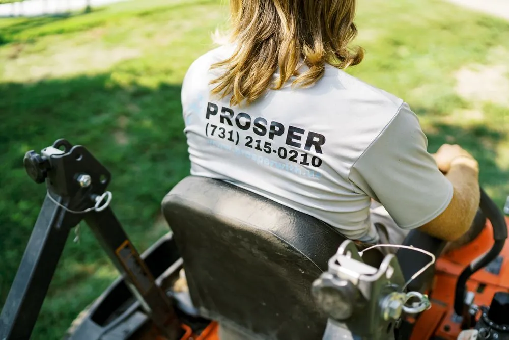 Affordable yard cleanup service for homes across Jackson, TN - Prosper Home And Commercial Services