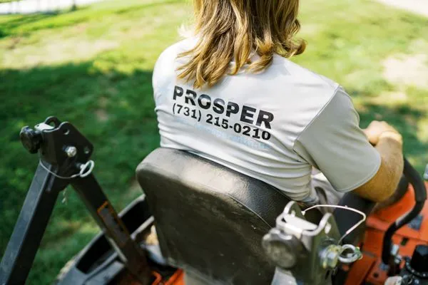Prosper Home And Commercial Services Logo