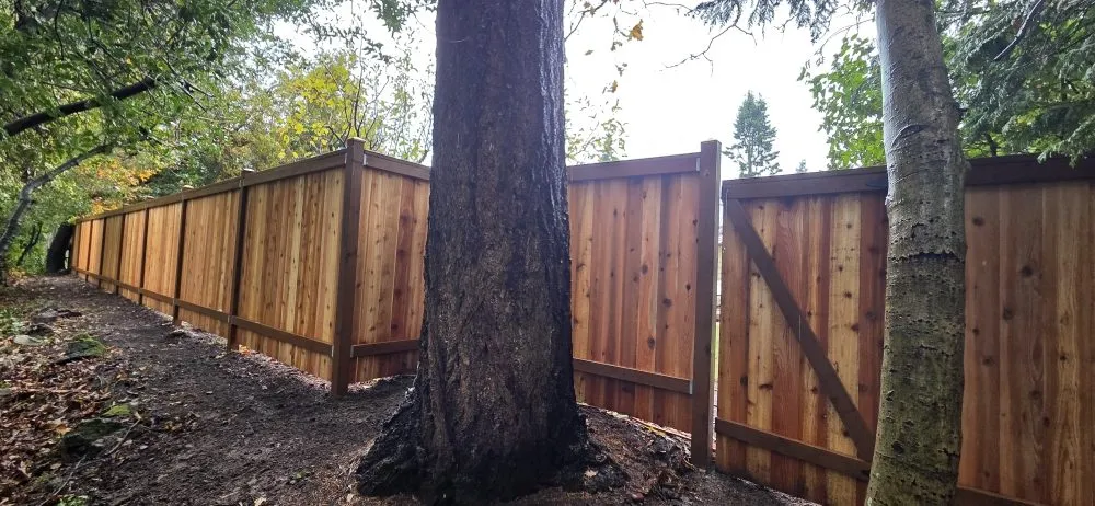 Local landscape installation experts serving Bothell, WA - Prosper Landscape & Construction