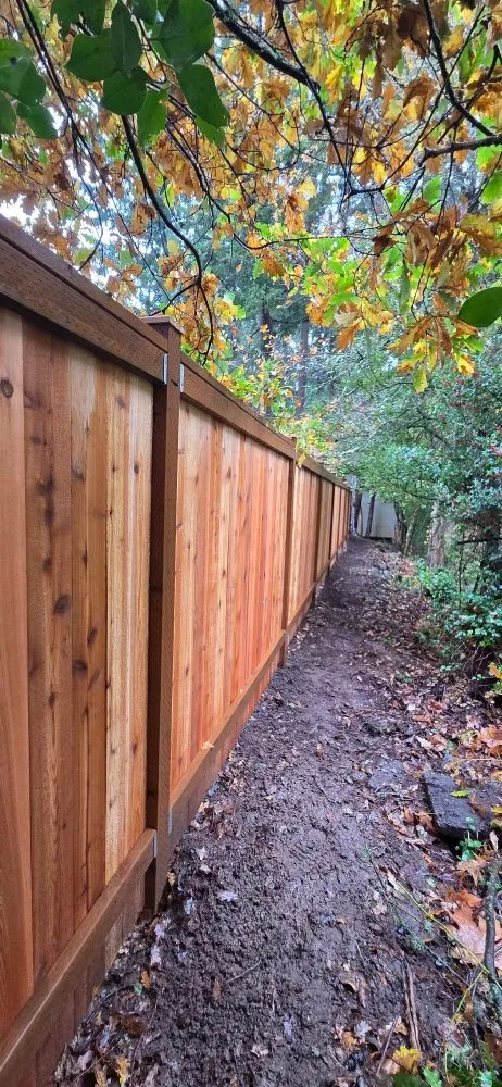 Expert lawn care service experts serving Bothell, WA - Prosper Landscape & Construction