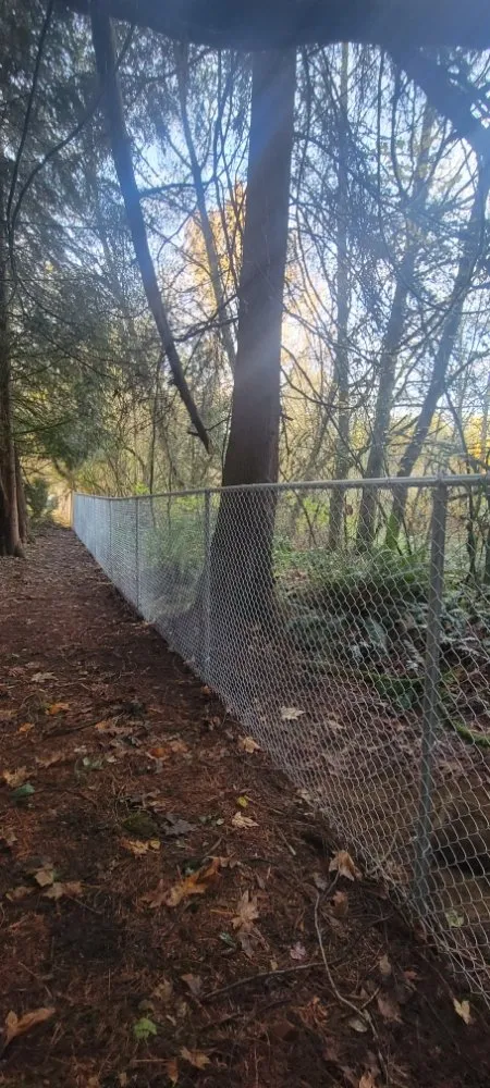 Trusted landscape installation near you in Bothell, WA by Prosper Landscape & Construction