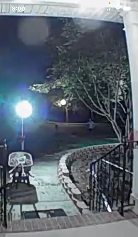 Local yard maintenance in Concord, NC by Prosper Landscaping Construction