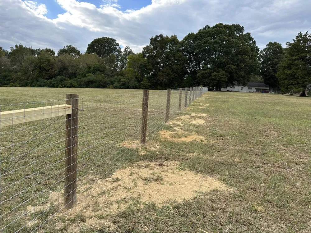 Affordable residential landscaping in Concord, NC - Prosper Landscaping Construction