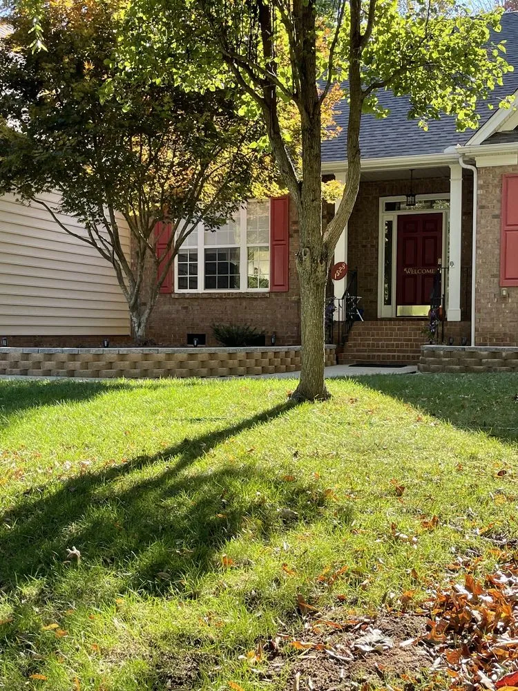 Custom yard cleanup service for homes across Concord, NC - Prosper Landscaping Construction