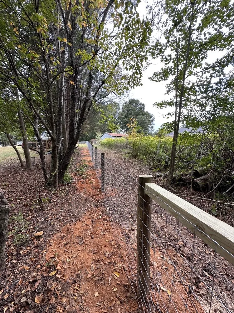 Professional landscape design in Concord, NC by Prosper Landscaping Construction