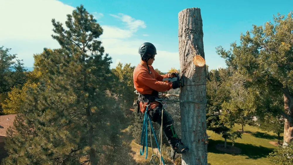 Affordable landscape installation in Aurora, CO - Prosperity