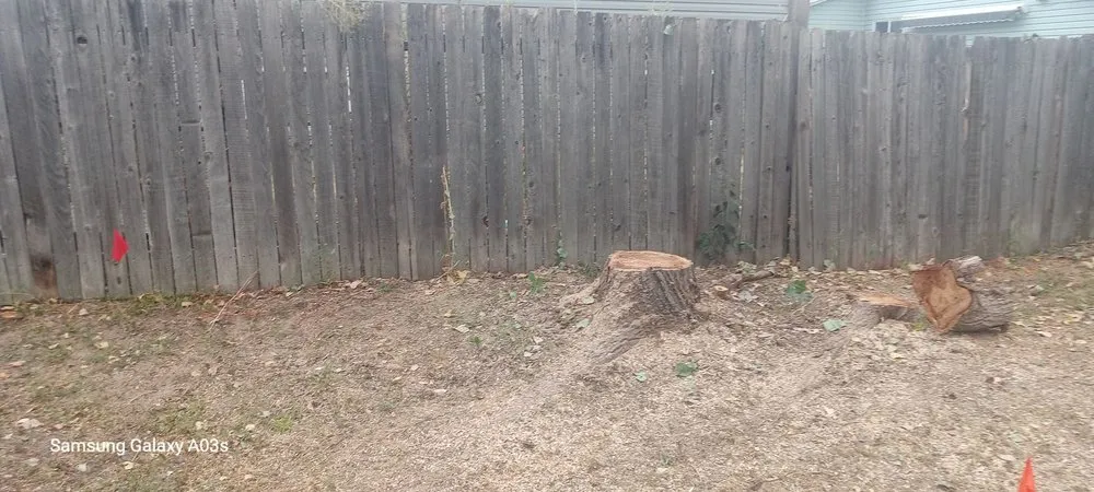 Top-rated landscaping services near you across Aurora, CO - Prosperity