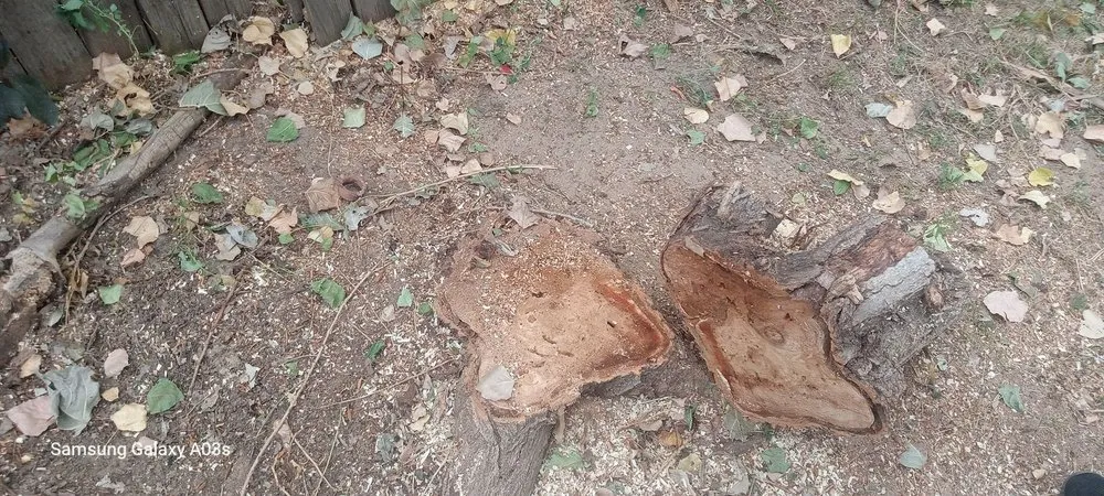 Local outdoor landscaping experts serving Aurora, CO - Prosperity