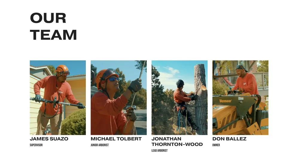 Trusted landscape design near you in Aurora, CO by Prosperity