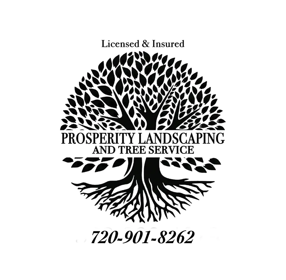 Reliable lawn mowing service in Aurora, CO by Prosperity