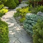 Professional lawn mowing service in Tallahassee, FL by Prosperity Enterprises