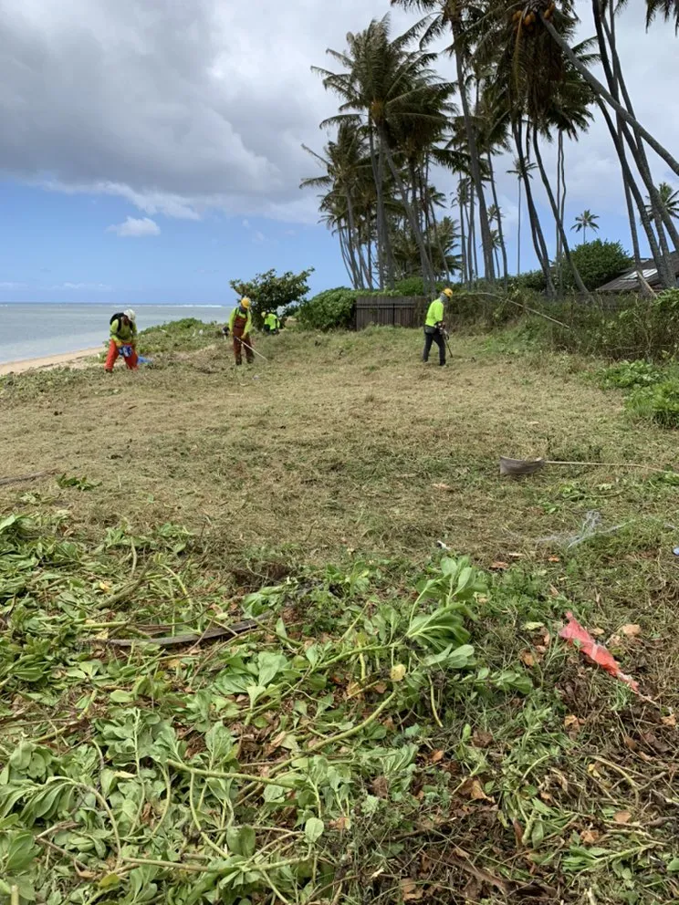Reliable landscaping services in Kailua, HI - Prosperity