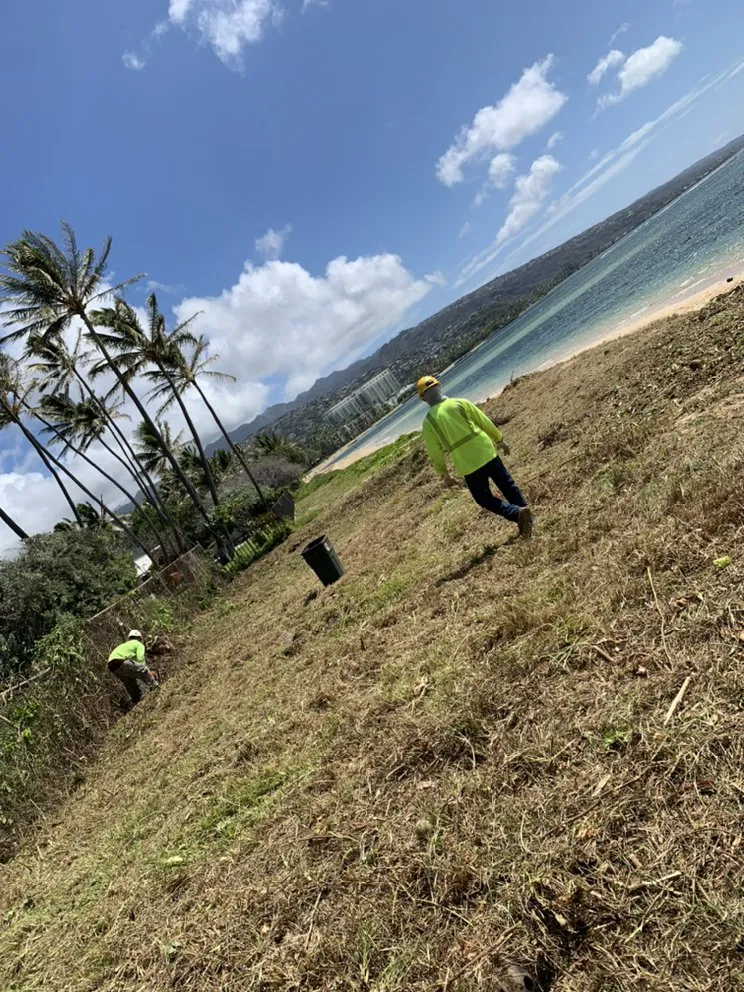 Trusted yard maintenance experts serving Kailua, HI - Prosperity