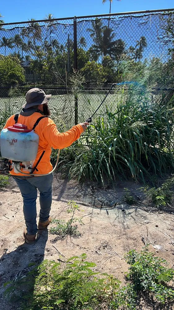 Reliable landscape design in Kailua, HI by Prosperity