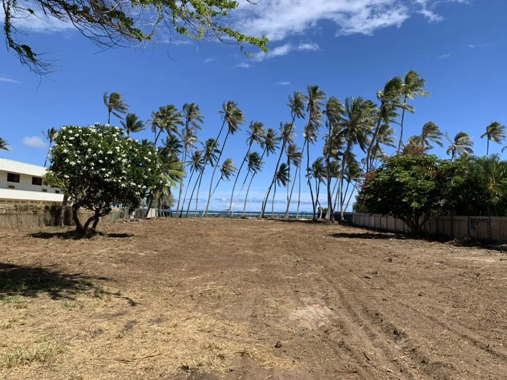 Affordable lawn mowing service in Kailua, HI by Prosperity