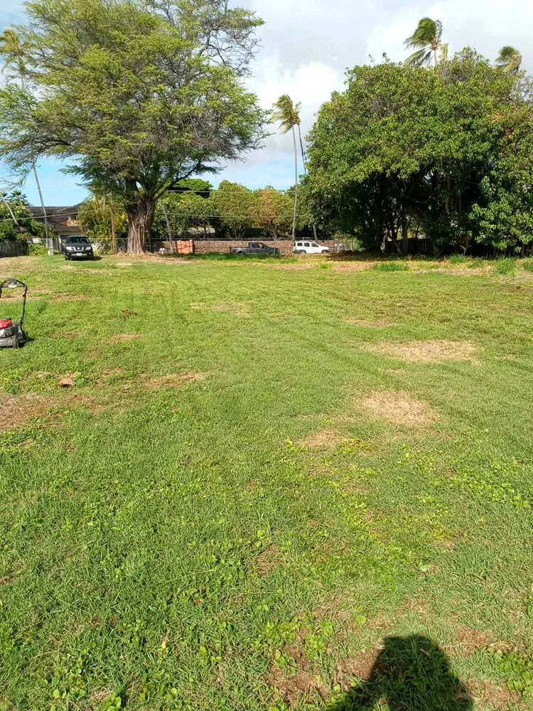 Reliable yard cleanup service near you in Kailua, HI by Prosperity