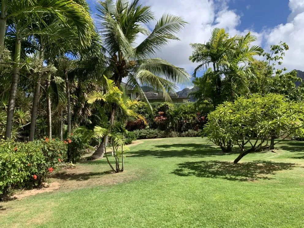 Local residential landscaping for homes in Kailua, HI by Prosperity