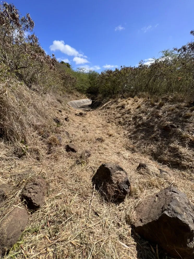 Reliable landscape installation experts serving Kailua, HI - Prosperity